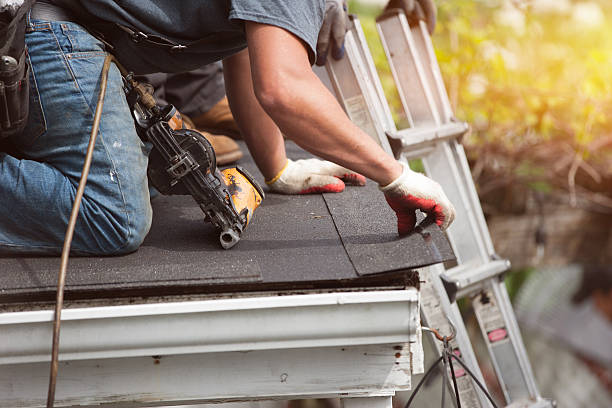 Roof Gutter Cleaning in Mount Sterling, KY